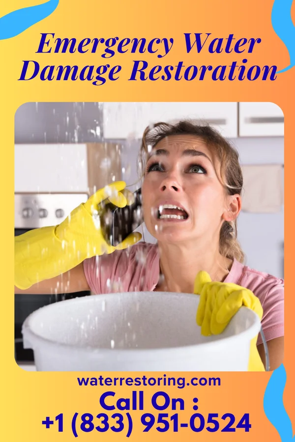 Emergency Water Damage Restoration in Idyllwild-Pine Cove, CA